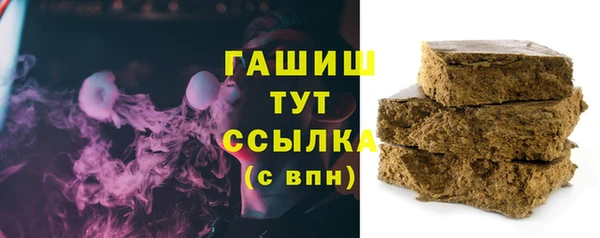 индика Арсеньев