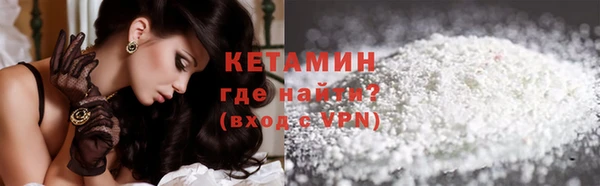 индика Арсеньев