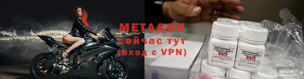 индика Арсеньев