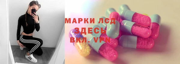 spice Аркадак