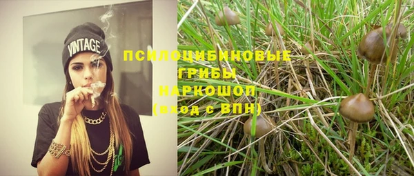 индика Арсеньев