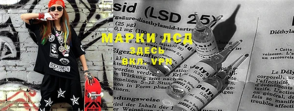 гидропоника Новозыбков