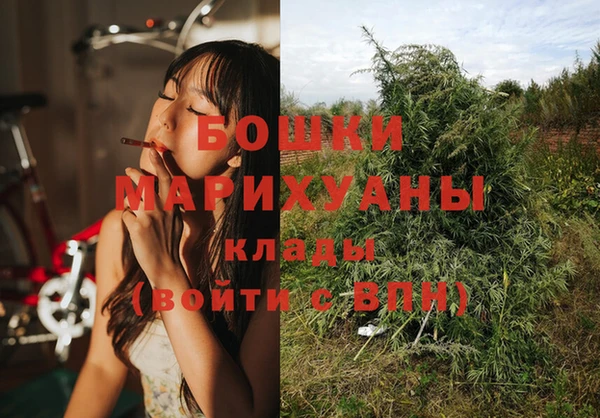 индика Арсеньев