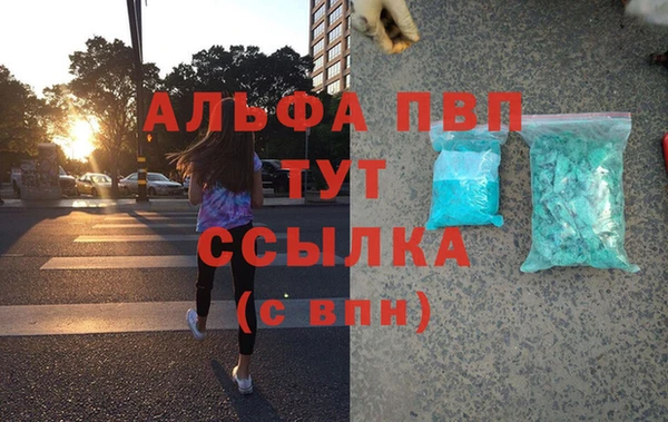 spice Аркадак