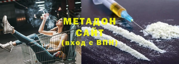 индика Арсеньев