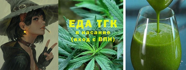 индика Арсеньев
