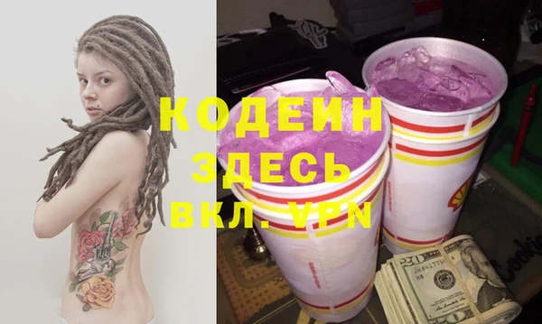 индика Арсеньев