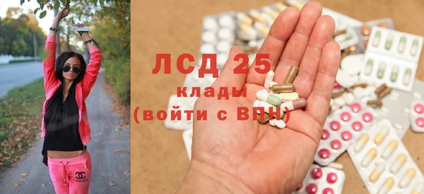 spice Аркадак